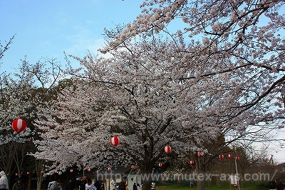 倉敷酒津公園０２